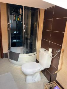 a bathroom with a toilet and a shower at Green House in Stara Sušica +42 photos