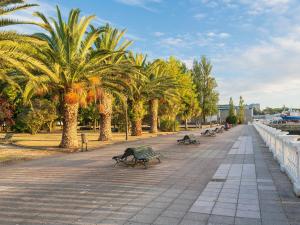 a row of park benches and palm trees on a sidewalk at Apartamentos Vilagarcia de Arousa 3000 in Vilagarcia de Arousa
