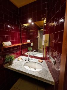 Koupelna v ubytování Nest Hotel Sestriere