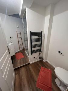 a bathroom with a toilet and a sink with red mats at Appartement plein centre-ville in Mulhouse