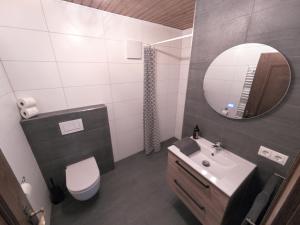 a bathroom with a sink and a toilet and a mirror at Jagerheim Apartments Flattach in Flattach +25 photos