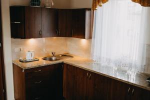 a kitchen counter with a sink and a window at Apartament Róża in Solec-Zdrój