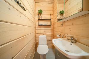a bathroom with a toilet and a sink at Levillas Kätkänlenkki 6A in Levi +21 photos
