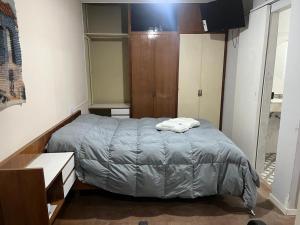 a small bedroom with a bed and a closet at Rufina Departamentos - Con cochera in San Juan