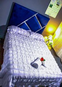 Foto dalla galleria di The Adventure Begins a Bulawayo