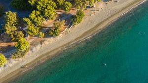 an aerial view of a beach and the ocean at Park Beach Hotel in Limassol