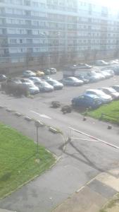 Φωτογραφία από το άλμπουμ του Daxy91 σε Ris-Orangis