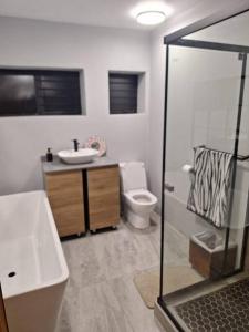 a bathroom with a sink and a toilet and a shower at Cormorants' View Self Catering accommodation in Sedgefield +26 photos