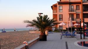 a palm tree on the beach next to a building at Seafront Apartment im Obzor Beach Resort in Obzor