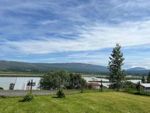 a view of a body of water with a tree at Lakeside Apartments - A in Egilsstaðir