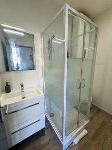 a bathroom with a shower and a sink at Mini Nid - Centre - Wifi - Equipé - Cosy in Dax +8 photos