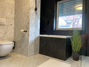 a bathroom with a toilet and a window at Grafschafft angenehmes wohnen - Ferienwohnung mit 2 Schlafzimmern in Pirna +25 photos
