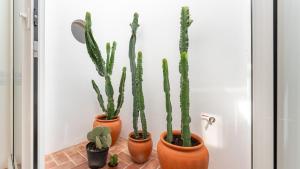 three cactus plants in pots in a room at Stylish Slow Living 1 BDR House by LovelyStay in Vila do Bispo
