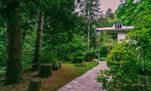 Zahrada ubytování Nunisi Forest Hotel & SPA