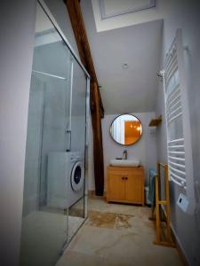 a bathroom with a shower and a sink and a mirror at Magnifiques Ecuries juste rénovées - Domaine de la Mulotière in Langeais