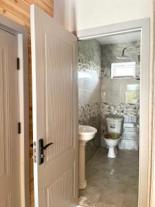 Ένα μπάνιο στο A Frame Villa Gabala +9 φωτογραφίες