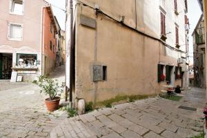 an alley in an old building with a potted plant at Apartment Leprin in Labin +11 photos