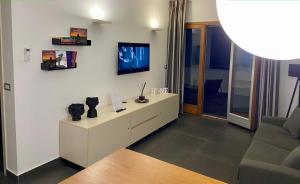 TV a/nebo společenská místnost v ubytování FC Home Suite