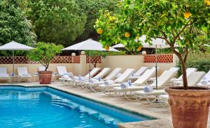 a pool with lounge chairs and an orange tree at Hôtel Juana in Juan-les-Pins