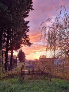 un coucher de soleil sur un champ avec un banc et des arbres dans l'établissement Ecurie Le Pas du Loup, à Caumont-sur-Durance