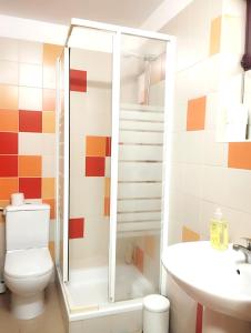 a bathroom with a shower and a toilet and a sink at Casa da Baixa in Faro +43 photos