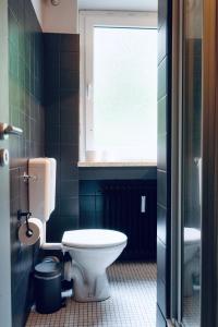 a bathroom with a toilet and a window at Naturnahes Apartment- 3 Betten-Waschmaschine-Parkplatz-Balkon in Wolfsburg +4 photos