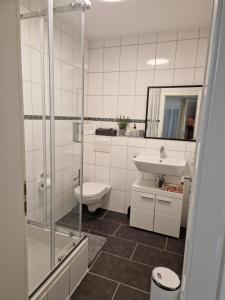 a bathroom with a shower and a toilet and a sink at Casa Velten in Bühl