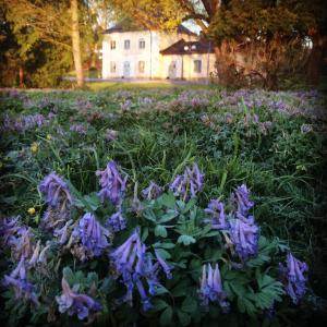 Zahrada ubytování Åkeshofs Slott