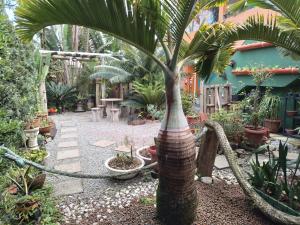 a garden with a palm tree with a rope around it at Pousada Gaucha Caiobá in Matinhos