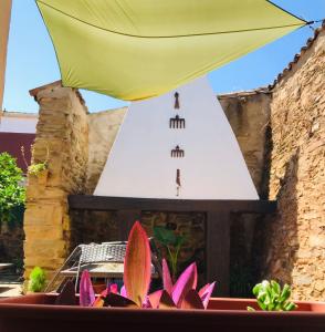 un pot de fleurs roses devant un poêle dans l'établissement Ceclavinn Casa Rural, à Ceclavín