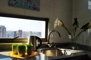 eine Küchentheke mit grünen Kaffeetassen und einer Spüle in der Unterkunft Depto con la mejor vista a la ciudad de Concepción in Concepción