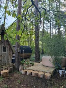 Zahrada ubytování Cabane dans les arbres