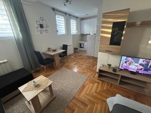 salon z kanapą, telewizorem i stołem w obiekcie Altina Gottfried Studio w mieście Novi Grad