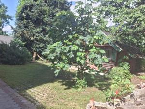 Zahrada ubytování Ganzes Haus mit Almcharakter