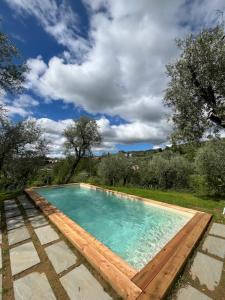 a swimming pool with blue water in a yard at Le Molina B&B in Massa e Cozzile