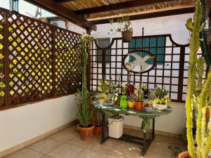 Zahrada ubytování Cozy flat in downtown Orbetello