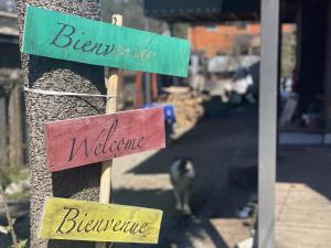 Foto sihtkohas Futaleufú asuva majutusasutuse Mirlo’s hostel galeriist +30 fotot