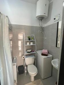 a small bathroom with a toilet and a sink at Ferme Jnan Al Yassmine in Taza