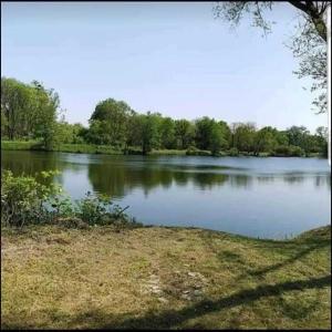 a large lake with trees in the background at Appartement cosy à Chamagne in Chamagne