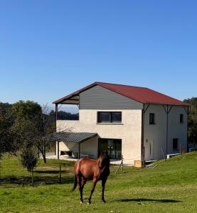 a horse standing in a field in front of a house at Gites de Landuzière in Étrat