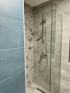 a bathroom with a shower with a glass door at Maria Luxury Apartment in Skopje +33 photos