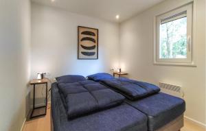 a bedroom with a large bed with blue pillows at 2 Bedroom Nice Home In Hellendoorn in Hellendoorn +17 photos