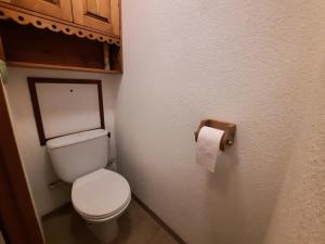 a bathroom with a toilet and a roll of toilet paper at Appartement montagne 6 pers, rénové, balcon sud/ouest - FR-1-452-389 in Les Menuires +10 photos