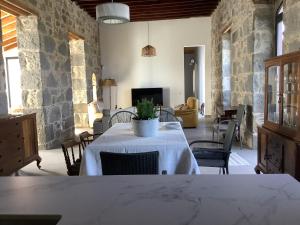 a living room with a table with a potted plant on it at Villa Alpispa in Las Palmas de Gran Canaria