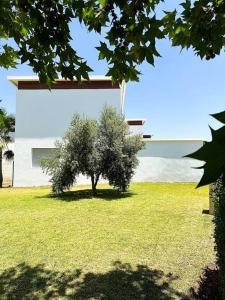 a tree in a yard in front of a building at Villa - Royal Golf de Fez - Pool in Fez