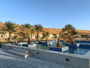 a row of palm trees and stairs in a courtyard at Desert Rose Camp in Badīyah