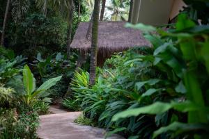 a path through a tropical garden with trees and plants at Palma Beach Resort in Mandrem
