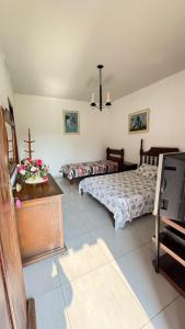 a bedroom with two beds and a tv in it at Pousada Casa da Vó Dita in Ouro Fino