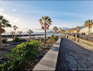 a walkway next to the beach with palm trees at Martimar Candelaria in Candelaria