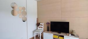 a living room with a tv and a chair at Casa da Barroca - Piscina Exclusiva & Natureza in Arcos de Valdevez